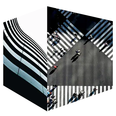 Stepping Up Insights PDF Download Praesta | Praesta Executive coaching